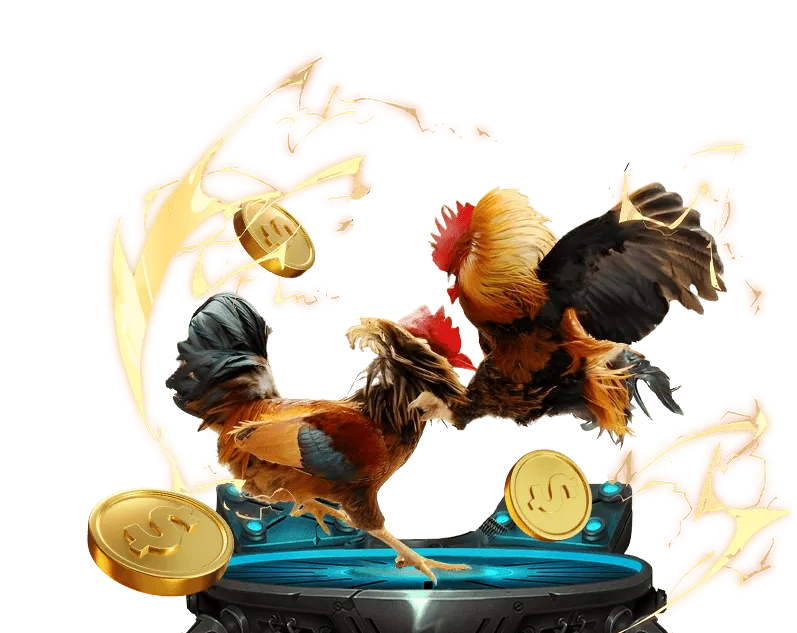 Tin tức ngành cá cược